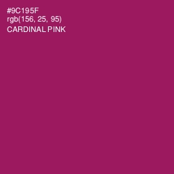 #9C195F - Cardinal Pink Color Image